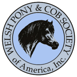 Welsh Pony & Cob Society of America